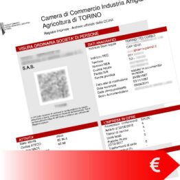 Visura Camerale