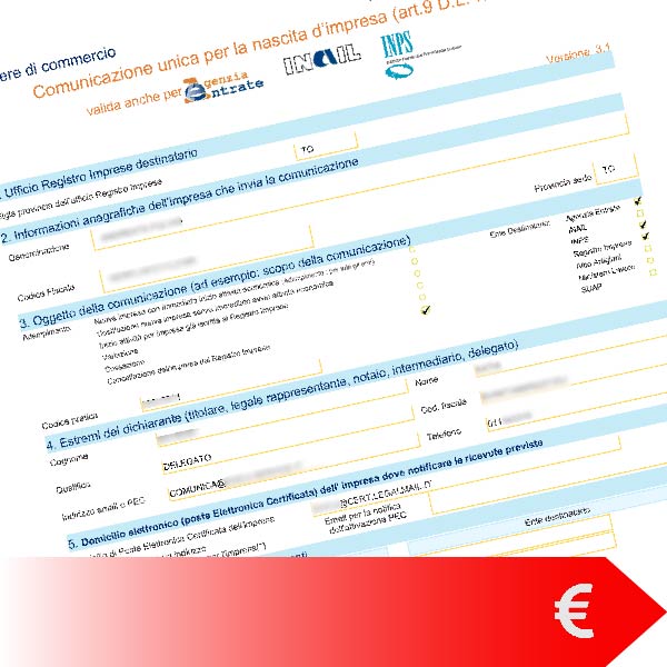 Pratiche Camerali Impresa Individuale