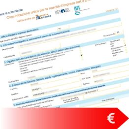 Pratiche Camerali Società di Capitale