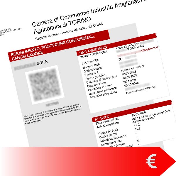 Visura Procedure in Corso