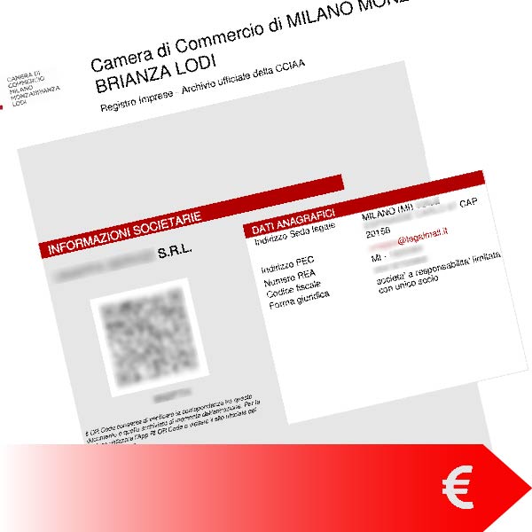 Visura Statuto - Patti Sociali